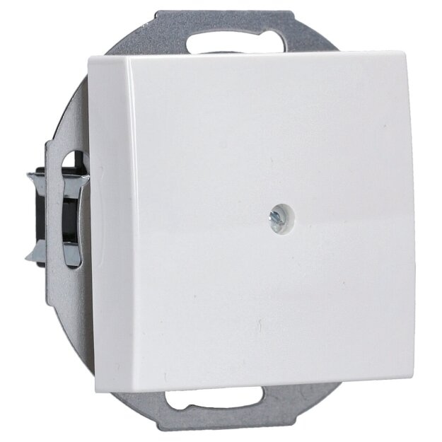 Busch-Jaeger 2527-914 Zentralscheibe mit Tragring (Thermoplast) Alpinweiß Busch-balance® SI 2CKA001710A4061