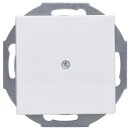 Busch-Jaeger 2527-914 Zentralscheibe mit Tragring...