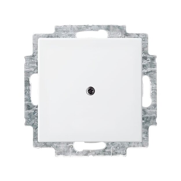Busch-Jaeger 2538-914 Blindzentralscheibe mit Tragring (Thermoplast) Alpinweiß Busch-balance® SI 2CKA001715A0319