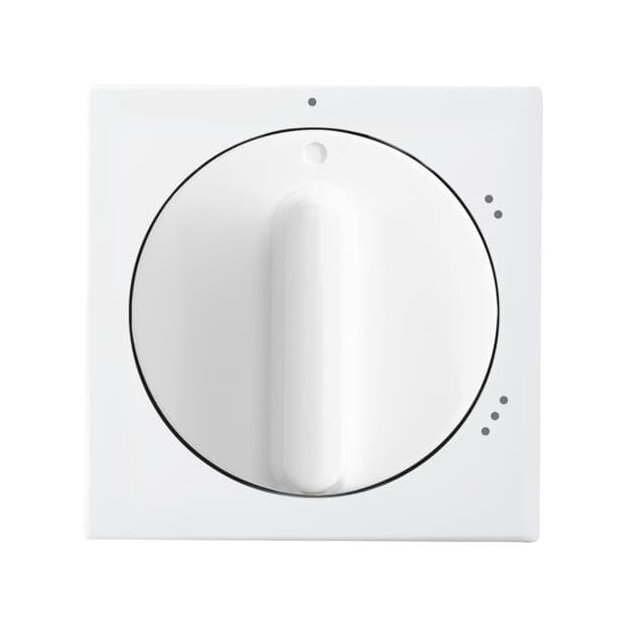 Busch-Jaeger 2542 DR/02-914 Zentralscheibe mit Drehgriff, mit Aufdruck (Thermoplast) Alpinweiß Busch-balance® SI 2CKA001710A4066