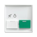 Busch-Jaeger 2548-642 BD-914 Zentralscheibe...