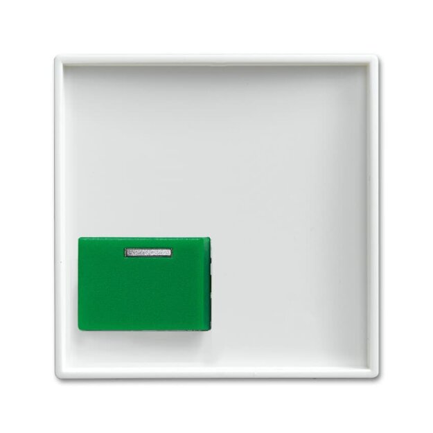 Busch-Jaeger 2548-642 C-914 Zentralscheibe Alpinweiß Busch-balance® SI 2CKA001724A4358