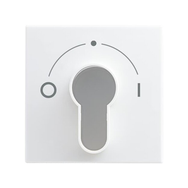 Busch-Jaeger 2557 SLPZ-914-101 Zentralscheibe mit Aufdruck (Thermoplast) Weiß Busch-balance® SI 2CKA001710A4070