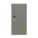 Busch-Jaeger 6231-22-866 Wippe 2-fach rechts, mit Symbol "Licht" 2CKA006220A0424
