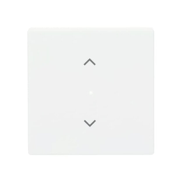 Busch-Jaeger 6232-10-884 Wippe 1-fach, mit Symbol "Jalousie" 2CKA006220A0483
