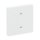 Busch-Jaeger 6232-10-884 Wippe 1-fach, mit Symbol "Jalousie" 2CKA006220A0483