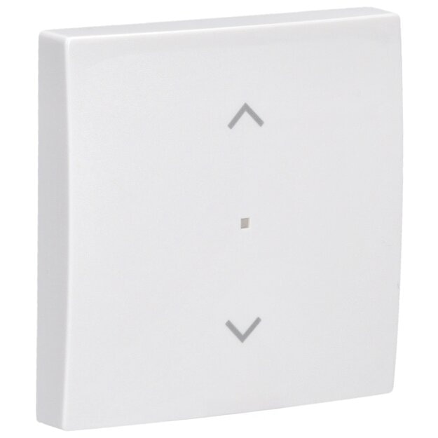 Busch-Jaeger 6232-10-914 Wippe 1-fach, mit Symbol "Jalousie" 2CKA006220A0357