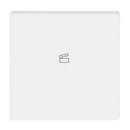 Busch-Jaeger 6233-10-884 Wippe 1-fach, mit Symbol...