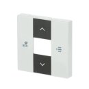 Busch-Jaeger 6236-84 Zentralscheibe für Fan...