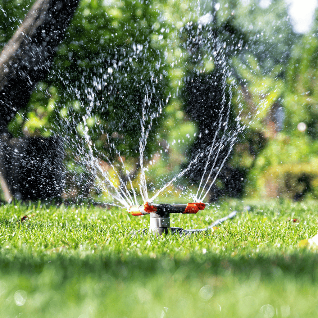 Automatische Gartenbewässerung mit Shelly
